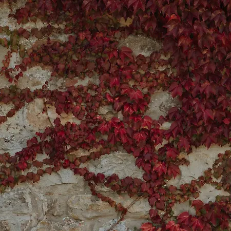 Palacio De Caranceja 4* Reocín