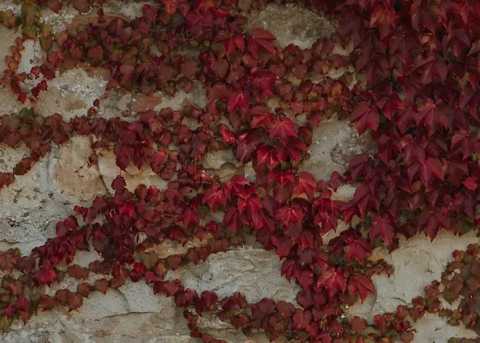 Palacio De Caranceja 4* Reocín